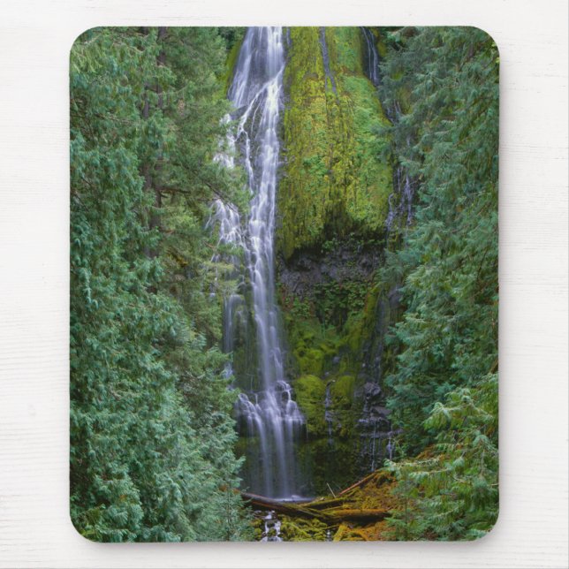 Alfombrilla De Ratón Cascada Lower Proxy | Bosque Nacional Willamette (Frente)