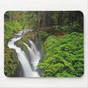 Alfombrilla De Ratón Cascadas Sol Duc en el Parque Nacional Olímpico en
