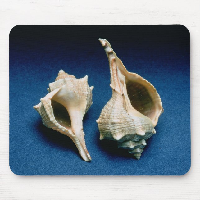 Alfombrilla De Ratón Cáscara del Murex (Frente)