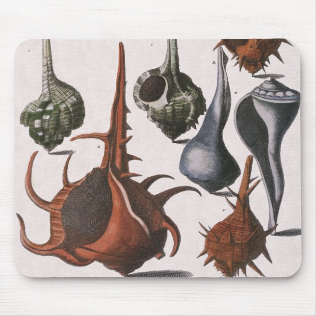 Alfombrilla De Ratón Cascos marinos de época, cáscaras oceánicas Vida m (Frente)