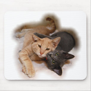 Alfombrilla De Ratón Cat Aovers Mousepad