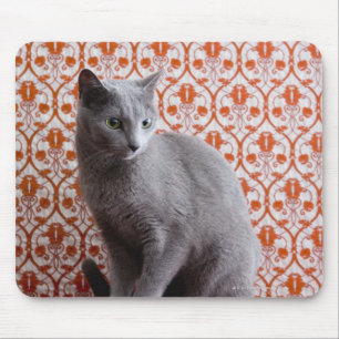 Alfombrilla De Ratón Cat (azul ruso) y fondo de papel pintado