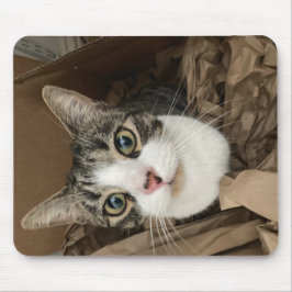 Alfombrilla De Ratón Cat Mouse Mat