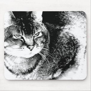 Alfombrilla De Ratón Cat Mousepad
