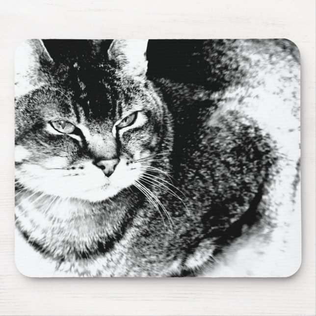 Alfombrilla De Ratón Cat Mousepad (Frente)