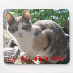 Alfombrilla De Ratón CAT: ¿Puedo Ayudarte Con El Ratón?