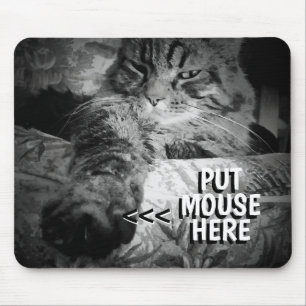 Alfombrilla De Ratón Cat wants your mouse Meme Mouse Pad