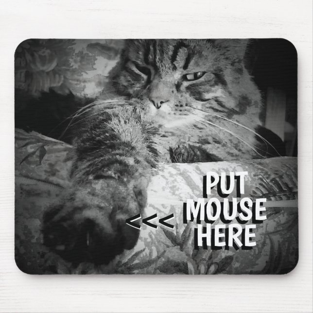 Alfombrilla De Ratón Cat wants your mouse Meme Mouse Pad (Frente)