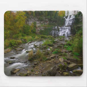 Alfombrilla De Ratón Cataratas de Chittenango
