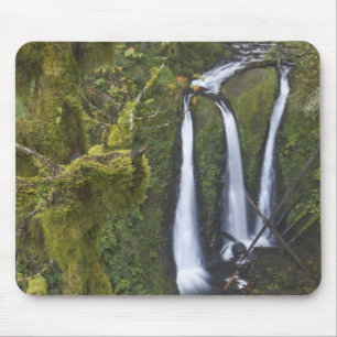 Alfombrilla De Ratón Cataratas triples, desfiladero del río Columbia