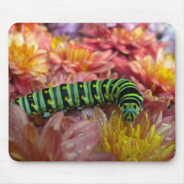 Alfombrilla De Ratón Caterpillar Close up Mousepad (Frente)