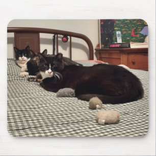 Alfombrilla De Ratón Cats