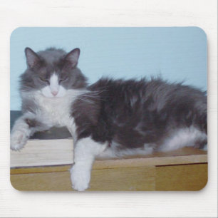 Alfombrilla De Ratón Cats de carne 9 Mousepad