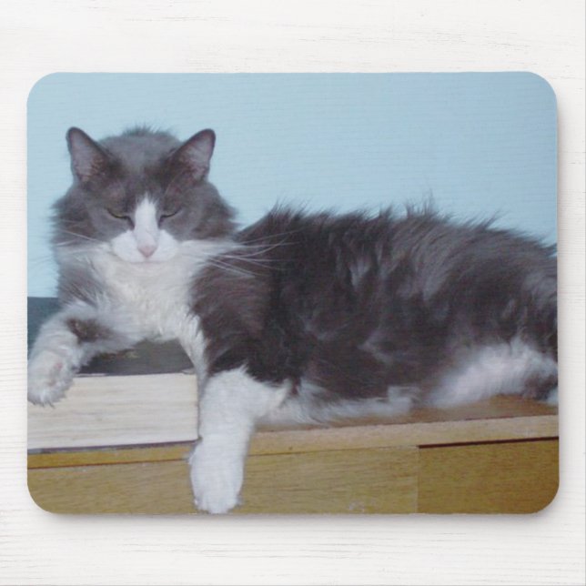 Alfombrilla De Ratón Cats de carne 9 Mousepad (Frente)