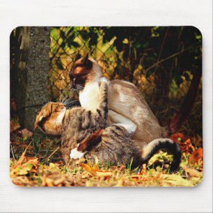 Alfombrilla De Ratón Cats Mousepad