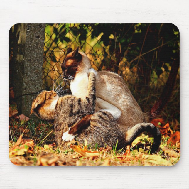 Alfombrilla De Ratón Cats Mousepad (Frente)