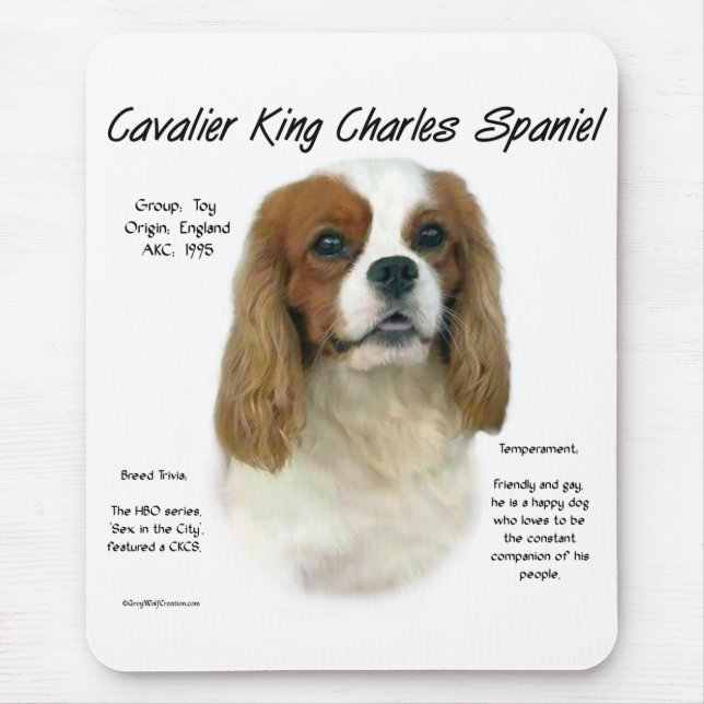 Alfombrilla De Ratón Cavalier como ninguna otra raza (Frente)