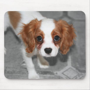 Alfombrilla De Ratón Cavalier King Charles Spaniel Puppy Mousepad