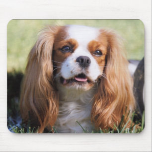 Alfombrilla De Ratón Cavalier rey Charles perro de aguas