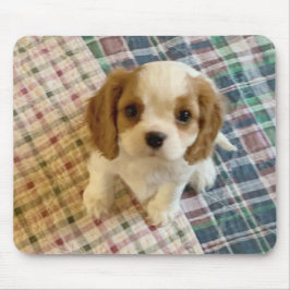 Alfombrilla De Ratón Cavalier Spaniel Puppy Mousepad
