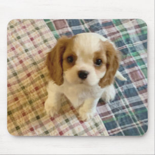 Alfombrilla De Ratón Cavalier Spaniel Puppy Mousepad