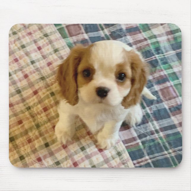 Alfombrilla De Ratón Cavalier Spaniel Puppy Mousepad (Frente)