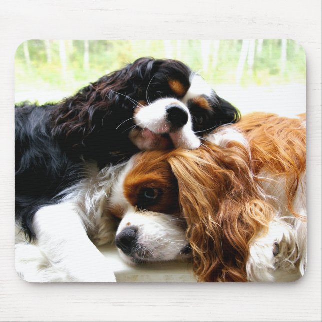 Alfombrilla De Ratón Cavaliers de los hermanos (Frente)