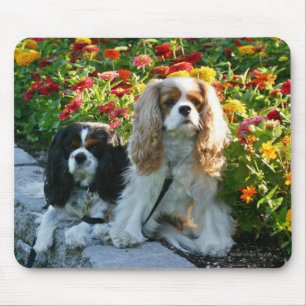 Alfombrilla De Ratón Cavaliers y Zinnias Mousepad