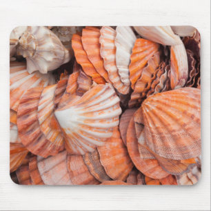 Alfombrilla De Ratón Cayos de Florida, Key West, conchas marinas