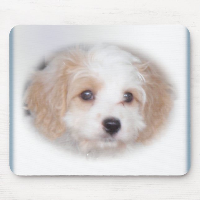 Alfombrilla De Ratón Caza Cavachon Mousepad (Frente)