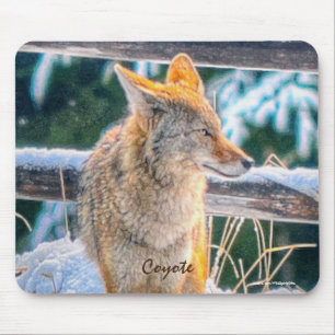 Alfombrilla De Ratón Caza de coyote en nieve.