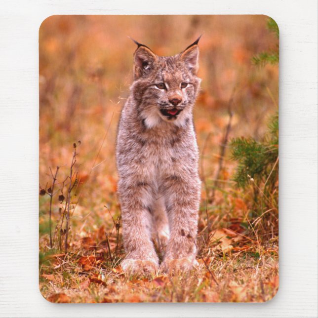 Alfombrilla De Ratón Caza de Linces | Bosque de Otoño (Frente)