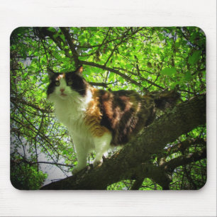 Alfombrilla De Ratón Cazador de aves de Calico