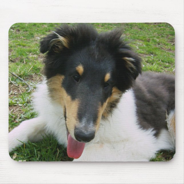 Alfombrilla De Ratón Cazador de Silly Collie (Frente)