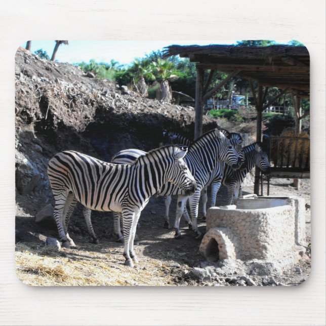 Alfombrilla De Ratón Cebras de Chapman (Frente)