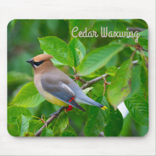 Alfombrilla De Ratón Cedar Waxwing