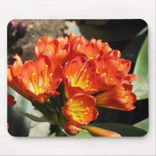 Alfombrilla De Ratón Celebre