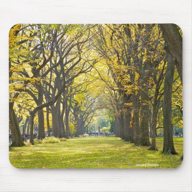 Alfombrilla De Ratón Central Park Mousepad (Frente)