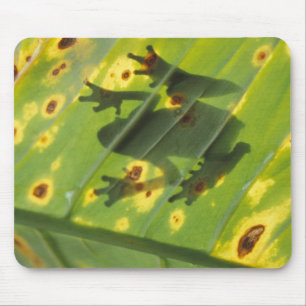 Alfombrilla De Ratón CENTROAMÉRICA, Costa Rica, Rana retroiluminada