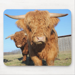 Alfombrilla De Ratón Cerca de las vacas de Escocia