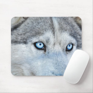 Alfombrilla De Ratón Cerca del Husky Siberiano con los ojos azules