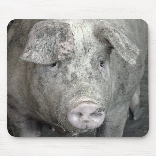 Alfombrilla De Ratón Cerdo (Frente)