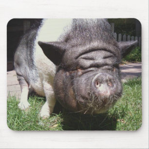 Alfombrilla De Ratón Cerdo barrigón Mousepad