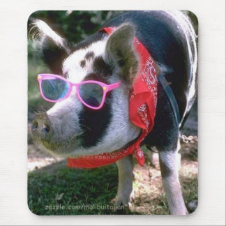Alfombrilla De Ratón Cerdo con las gafas de sol y el pañuelo
