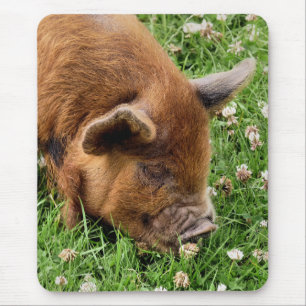 ALFOMBRILLA DE RATÓN CERDO CUTIDO