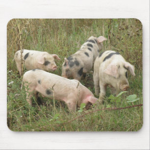 Alfombrilla De Ratón Cerdos en un Mousepad de Campo