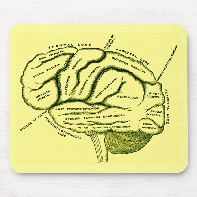 Alfombrilla De Ratón Cerebro humano (Frente)
