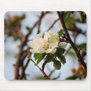 Alfombrilla De Ratón Cerezo en flor