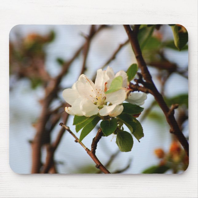 Alfombrilla De Ratón Cerezo en flor (Frente)