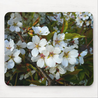 Alfombrilla De Ratón Cerezo en flor II
